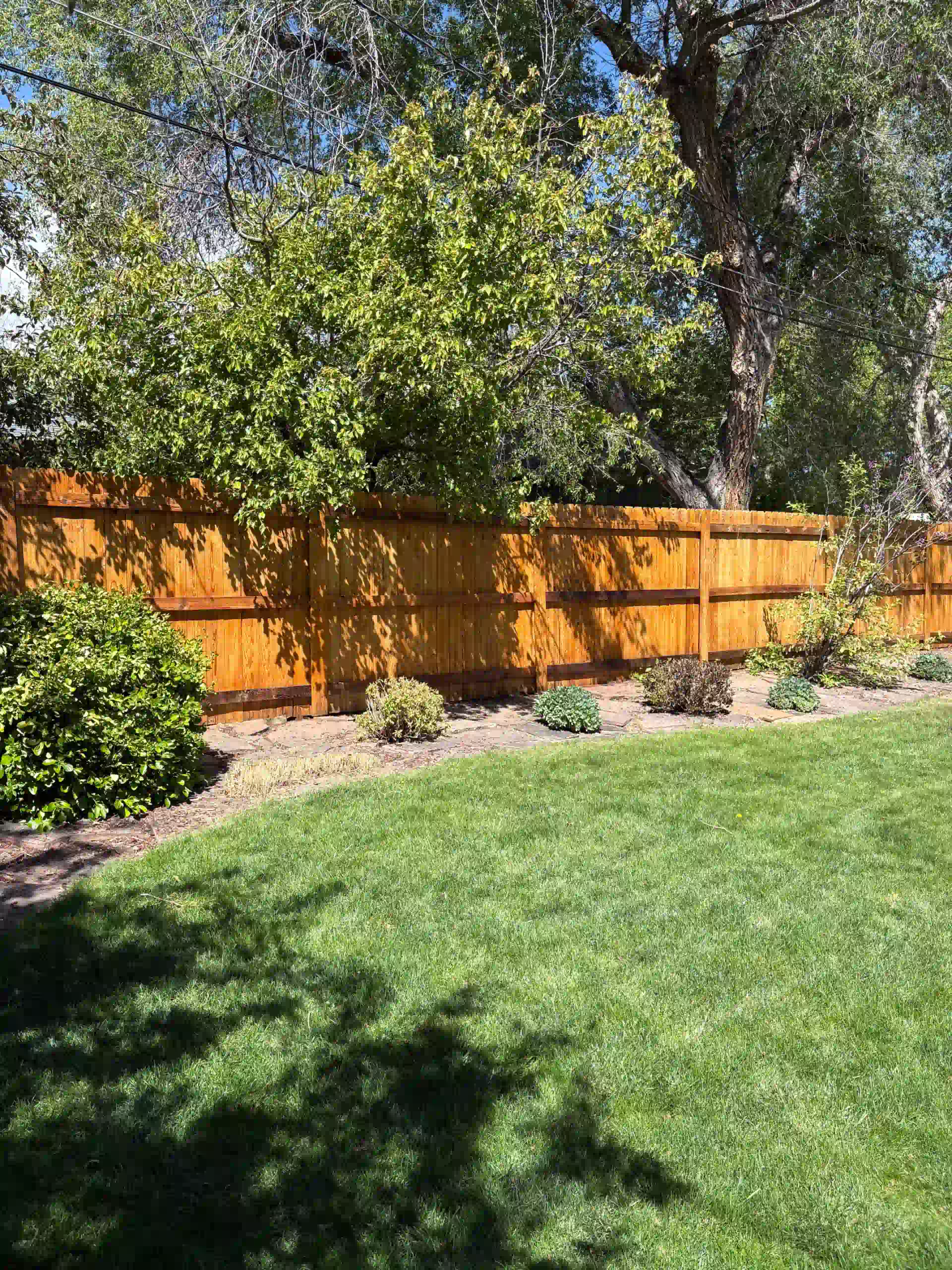Professional Fence Building in Black Forest, CO